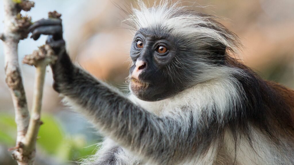 best-photographic-spots-paje-zanzibar-tips