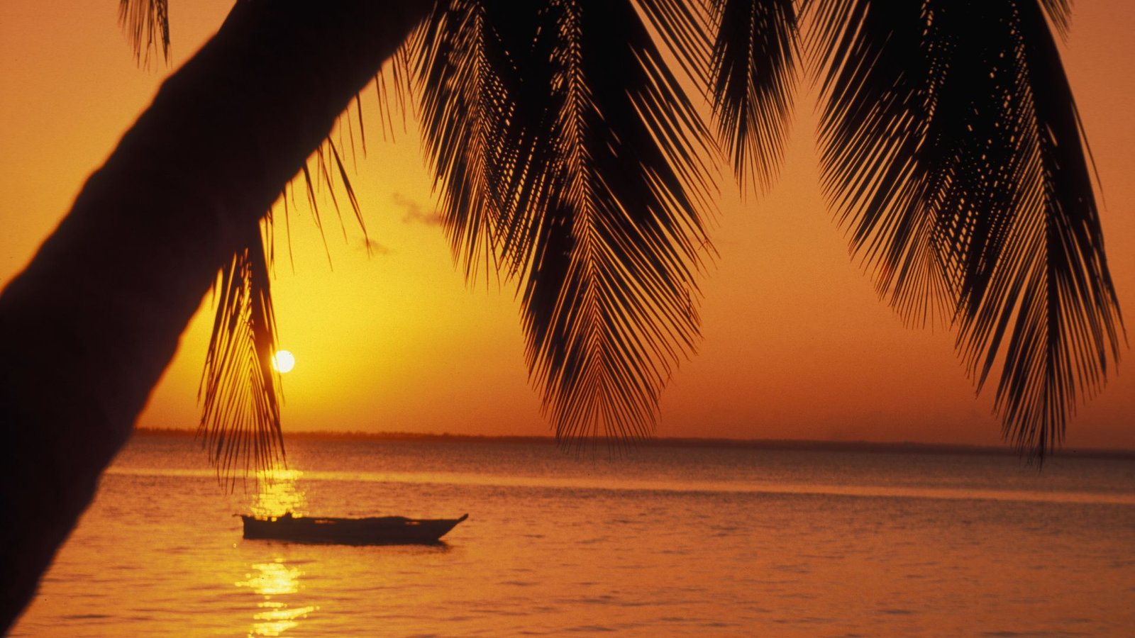 best-photographic-spots-paje-zanzibar