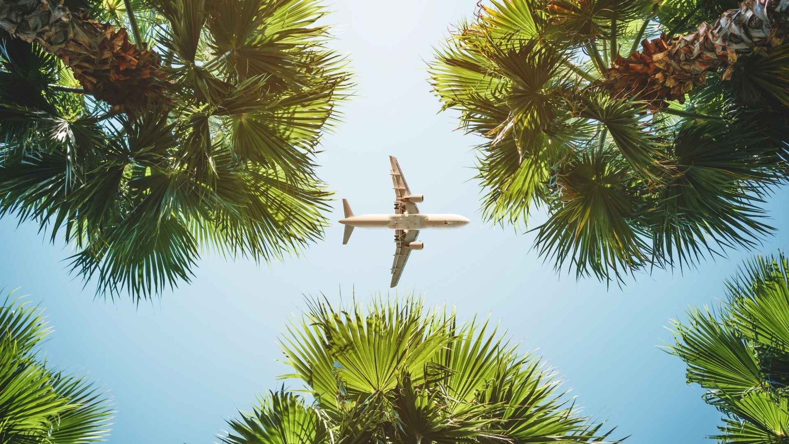 flight-from-spain-to-zanzibar-guide